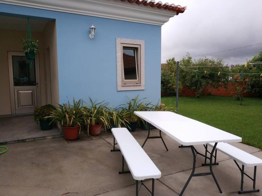 Maison Proche De La Mer Murtosa Zewnętrze zdjęcie