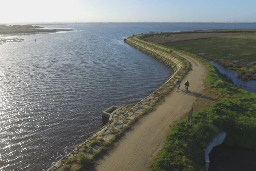 Maison Proche De La Mer Murtosa Zewnętrze zdjęcie